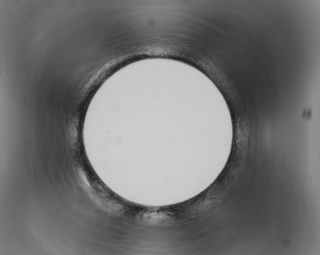 X0000114570208200911301319