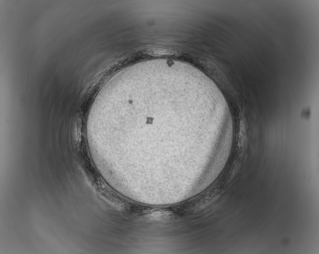 X0000114570210200911301319