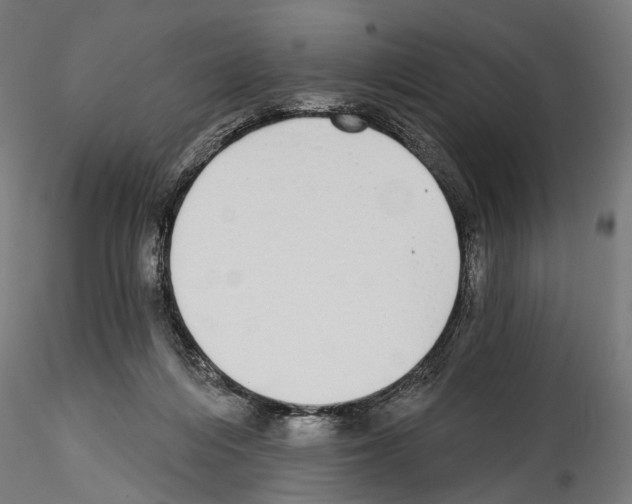 X0000114570216200911301319