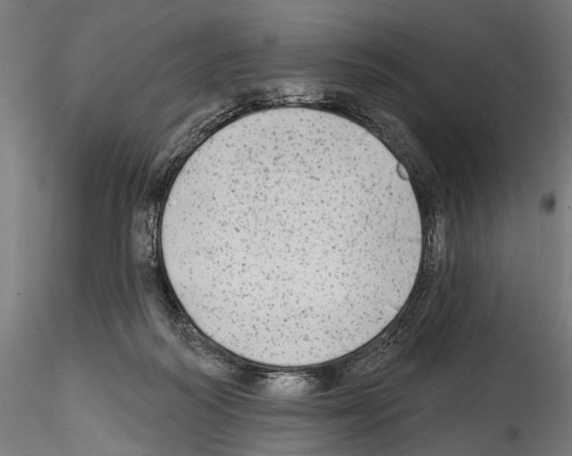 X0000114570218200911301318