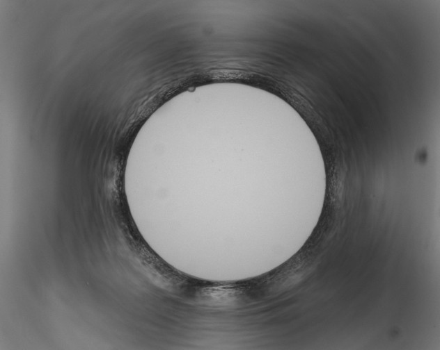 X0000114570219200911301318