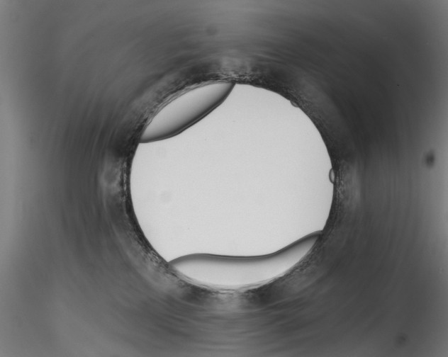 X0000114570233200911301318