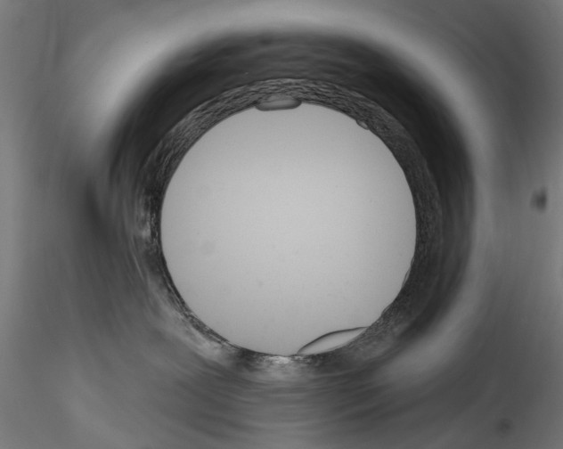 X0000114570239200911301318