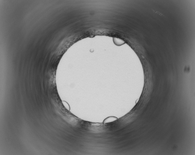 X0000114570240200911301318