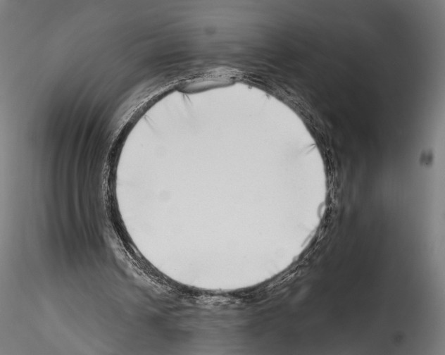 X0000114570242200911301317