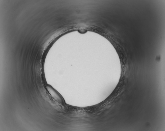 X0000114570244200911301317