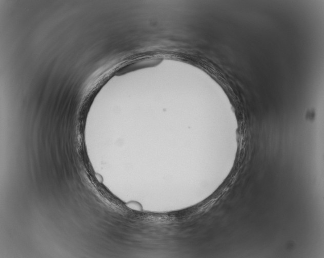 X0000114570245200911301317