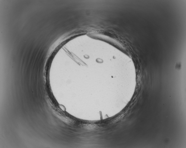 X0000114570246200911301317