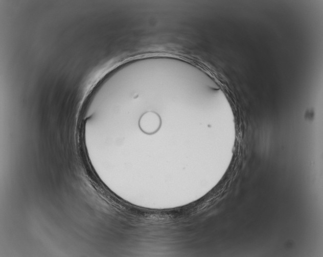 X0000114570248200911301317