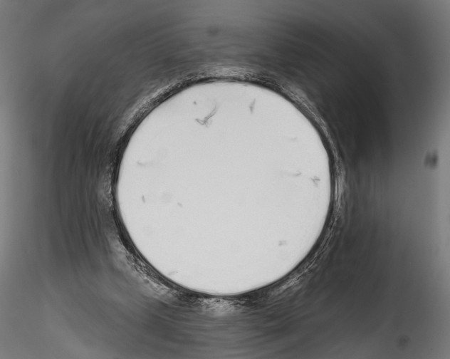 X0000114570249200911301317