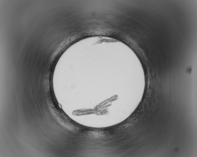 X0000114570250200911301317