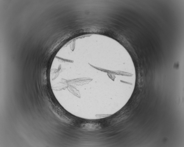 X0000114570251200911301317