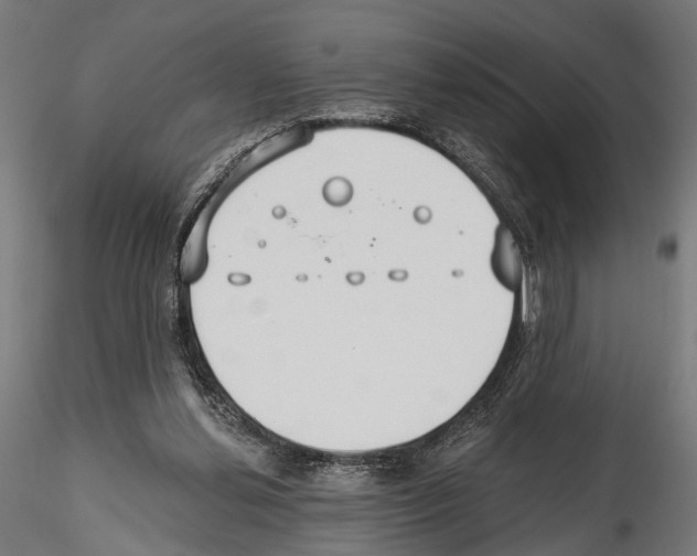 X0000114570252200911301318