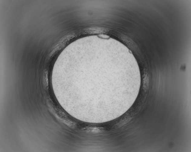 X0000114570254200911301318