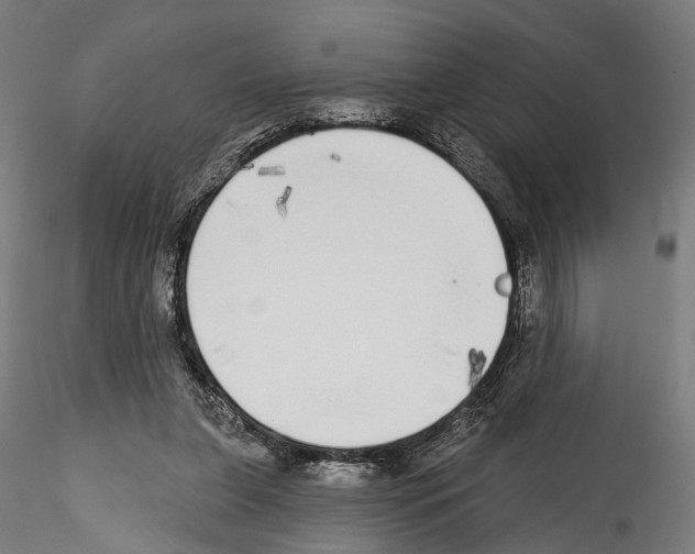 X0000114570255200911301318