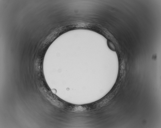 X0000114570257200911301318