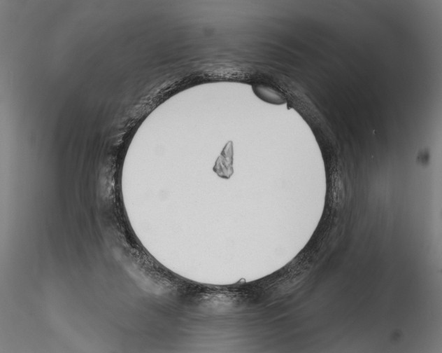 X0000114570259200911301318