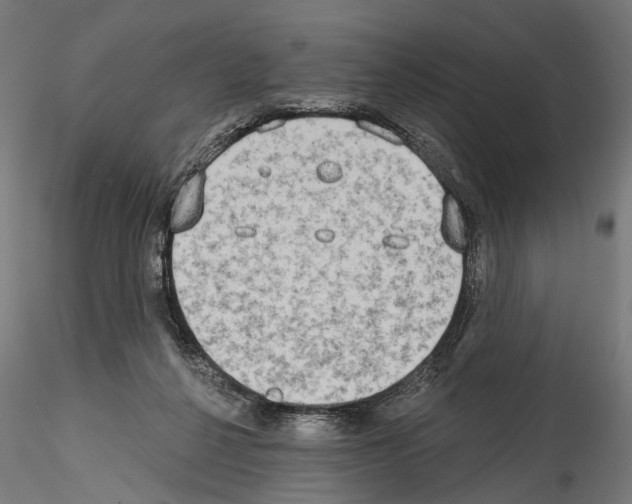 X0000114570264200911301318