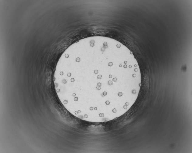 X0000114570271200911301318