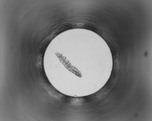 X0000114570274200911301318