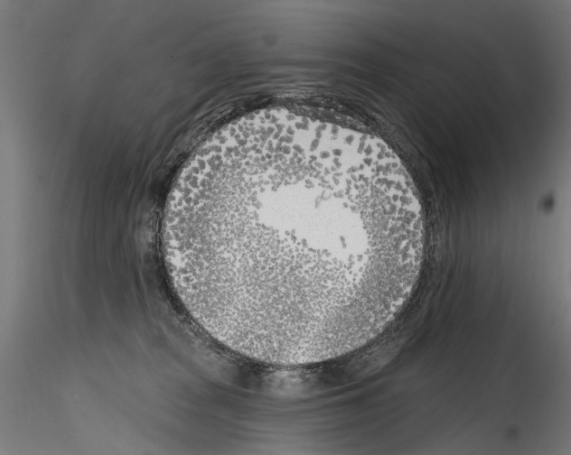 X0000114570277200911301318