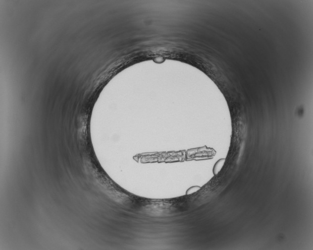 X0000114570278200911301318