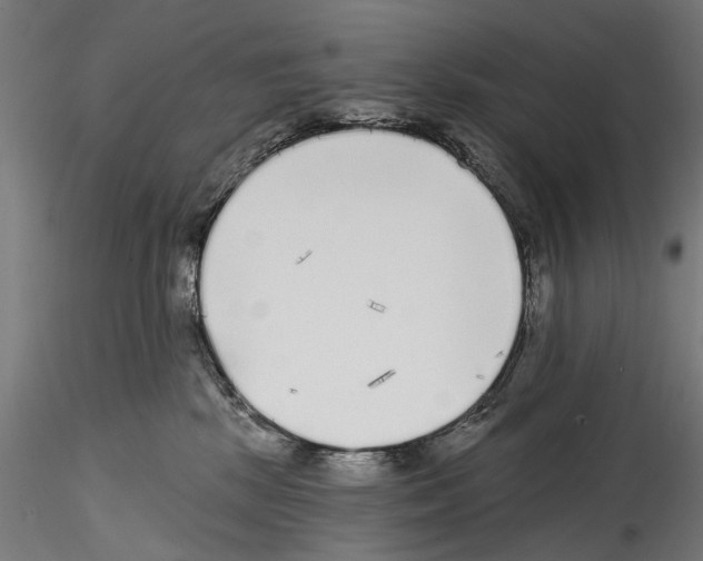 X0000114570281200911301318