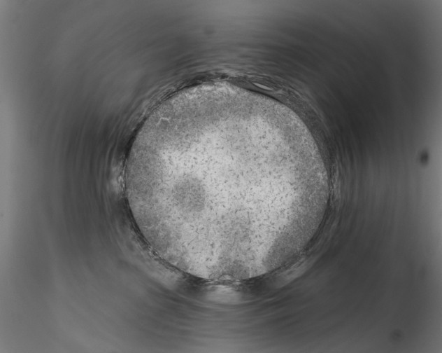 X0000114570285200911301318