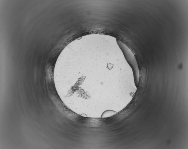 X0000114570287200911301318