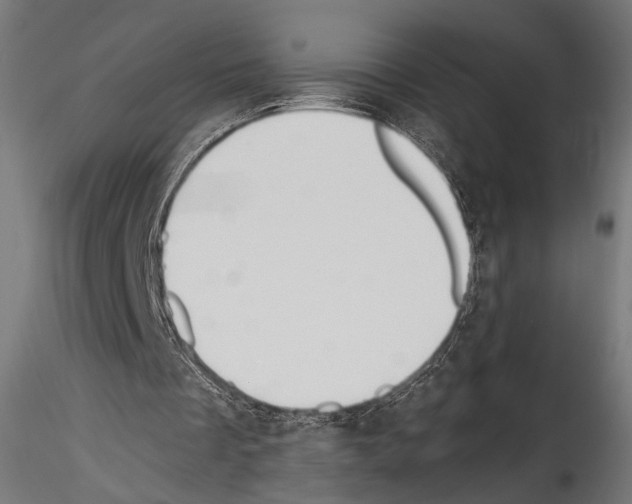 X0000114570289200911301317