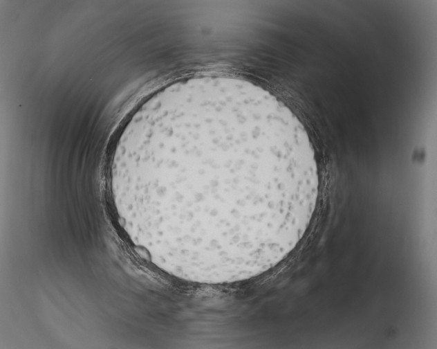 X0000114570290200911301317