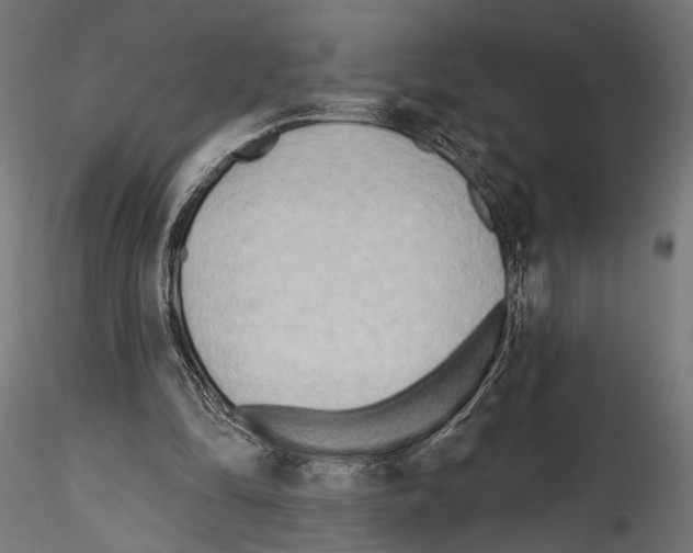 X0000114570294200911301317