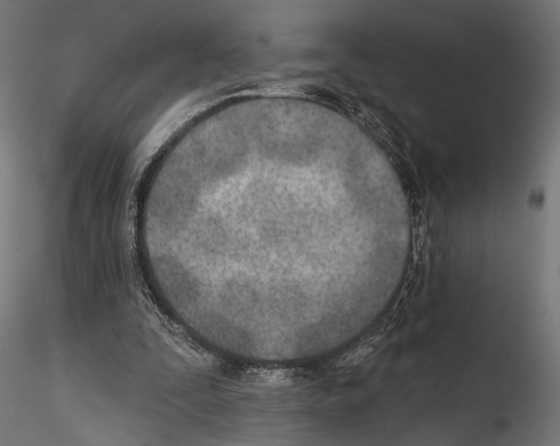 X0000114570295200911301317