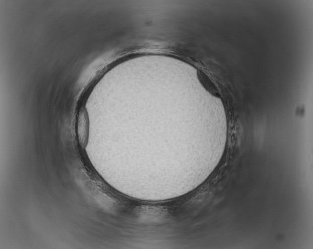 X0000114570296200911301317