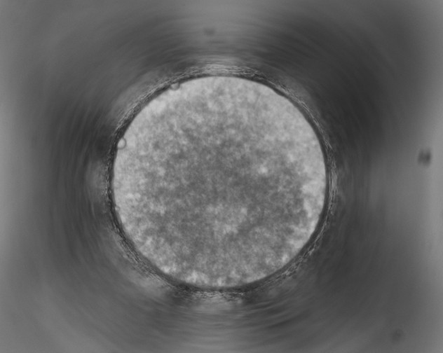 X0000114570297200911301317