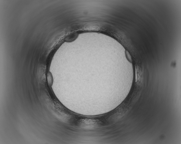 X0000114570300200911301317