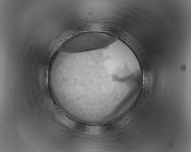 X0000114570301200911301317