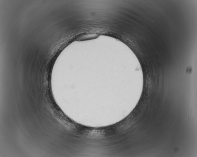 X0000114570303200911301317