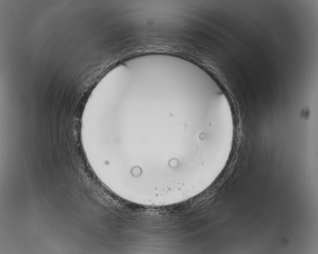 X0000114570305200911301317