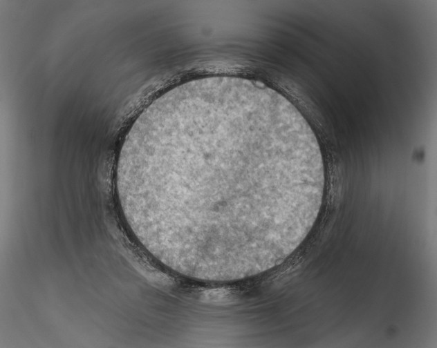 X0000114570309200911301317