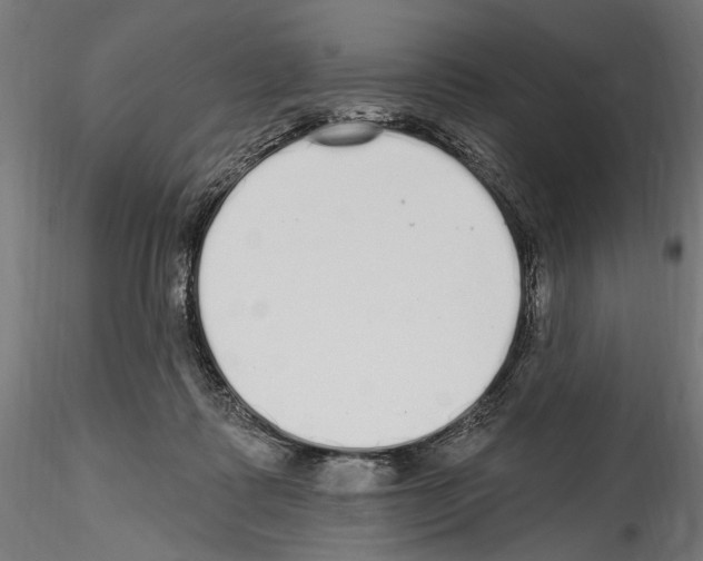 X0000114570315200911301317