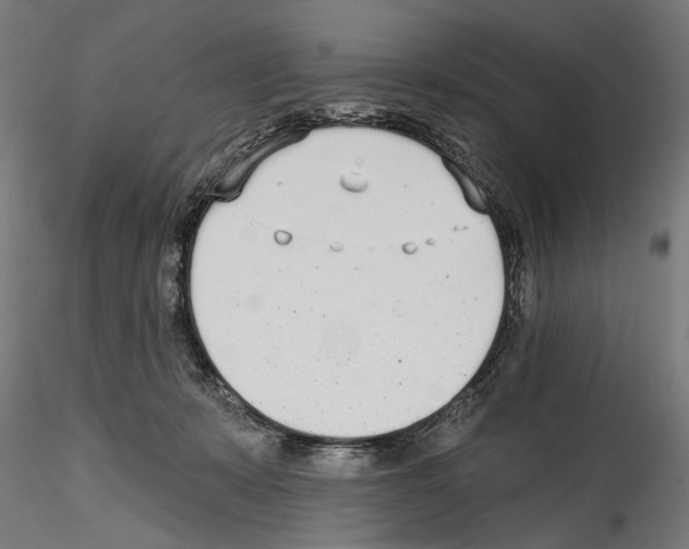 X0000114570319200911301317