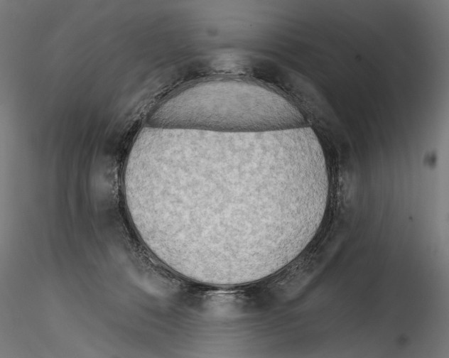 X0000114570320200911301317