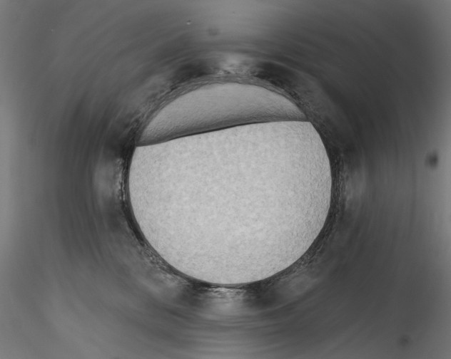 X0000114570328200911301317