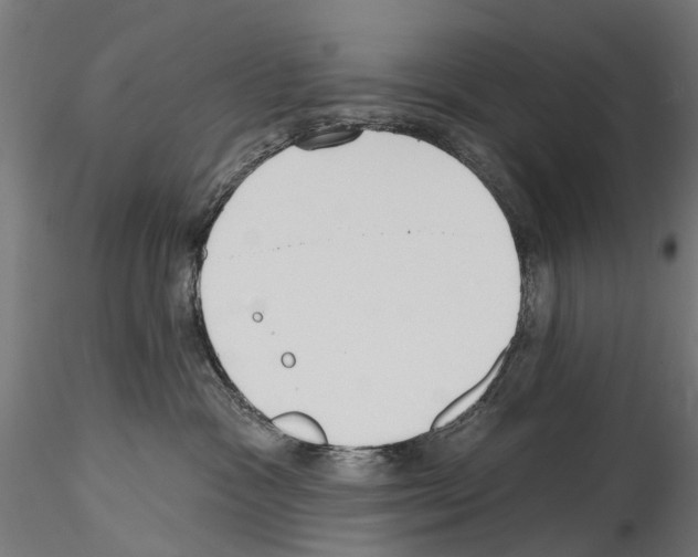 X0000114570333200911301317