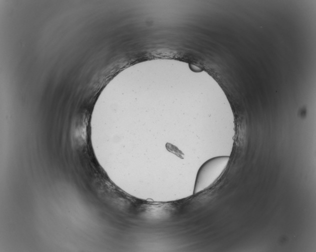 X0000114570334200911301317