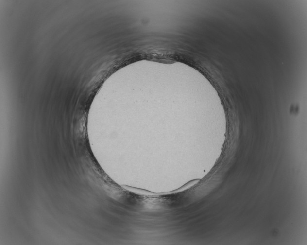 X0000114570336200911301317