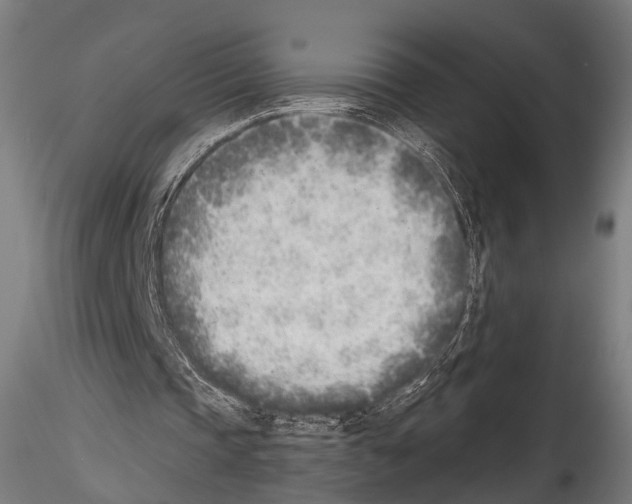 X0000114570337200911301316