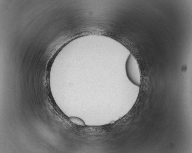 X0000114570338200911301316