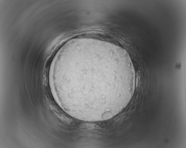 X0000114570339200911301316